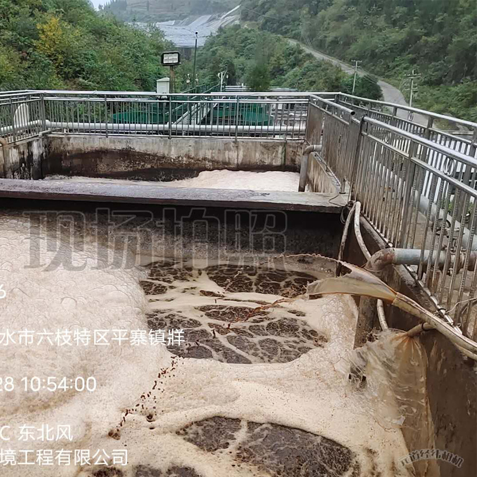一色桃子在线观看渗滤液处理中泡沫产生的危害